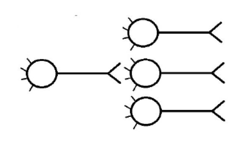 Diagram of a weakened neuron pathway with a weakened signal