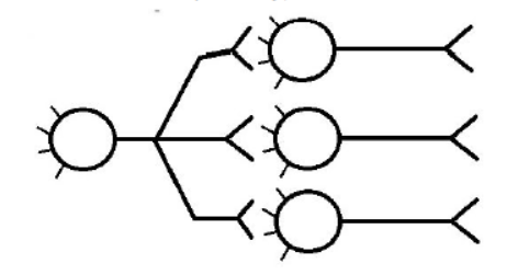 Diagram of remaining neurons forming new branches that strengthen the pathway